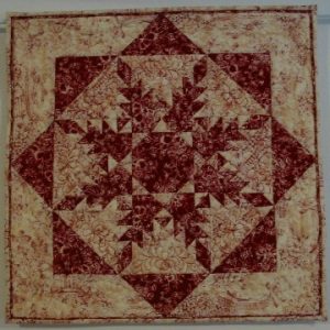 Radiant Feathered Star Quilt